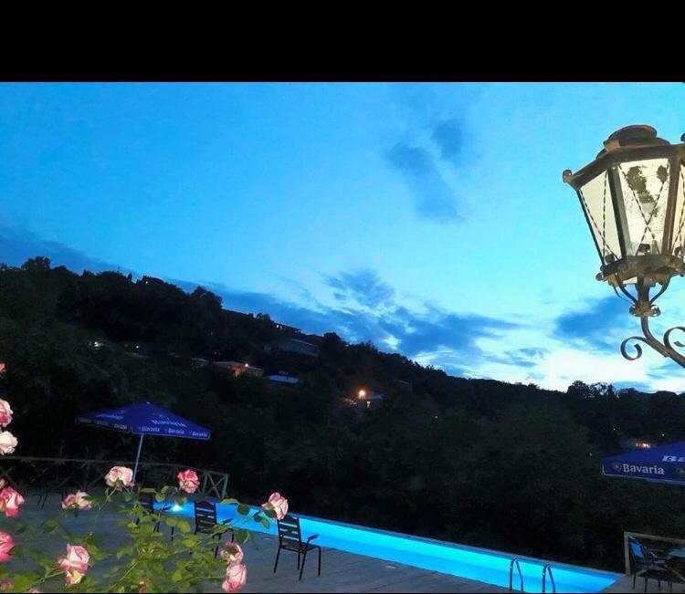 Guest House Marani ซิคนาคี ภายนอก รูปภาพ